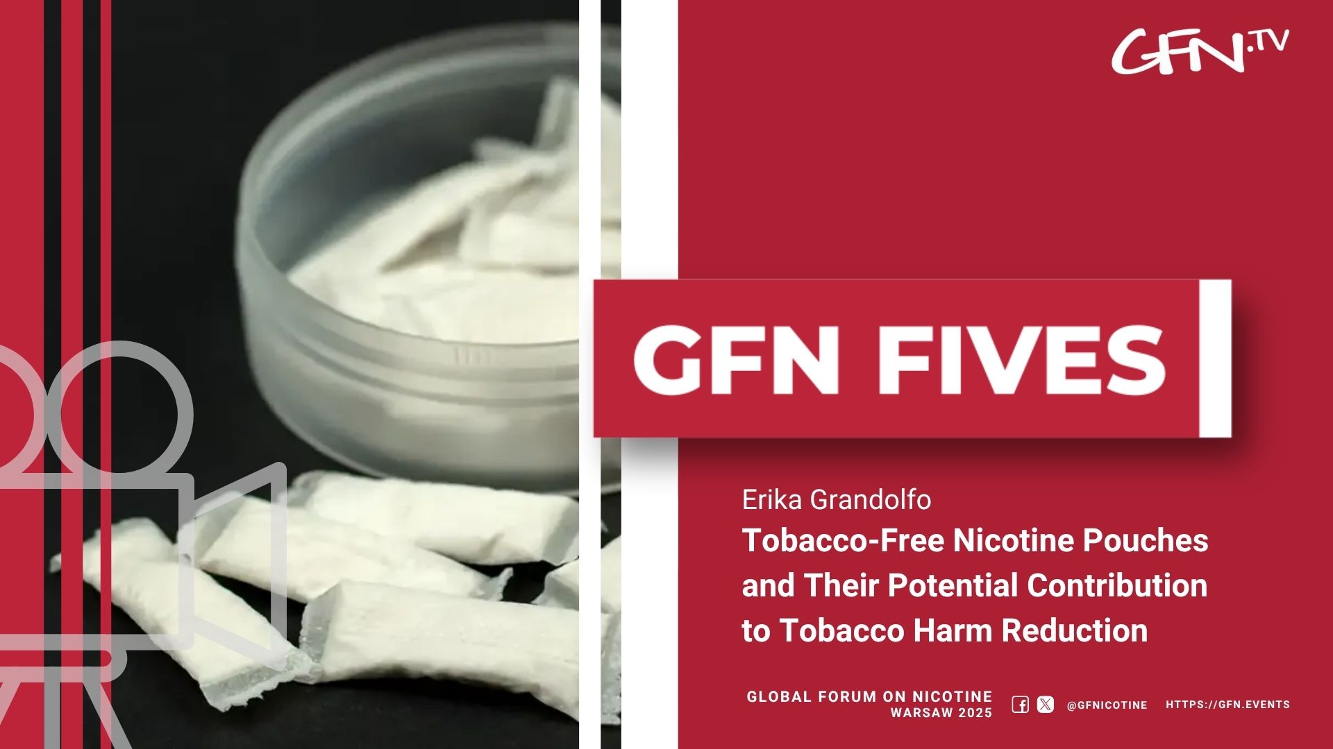 Tobacco-Free Nicotine Pouches and Their Potential Contribution to Tobacco Harm Reduction