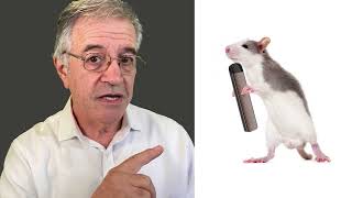 What Are the Harms of Vaping in Young People Who Have Never Smoked?